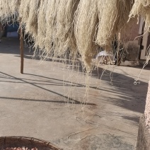 红薯粉