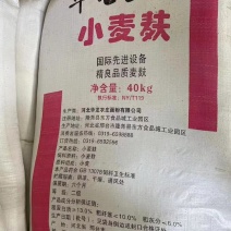 优质麦麸，大片、混合麸、细麸，养殖、种植专用