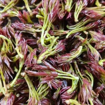 张家界莓茶