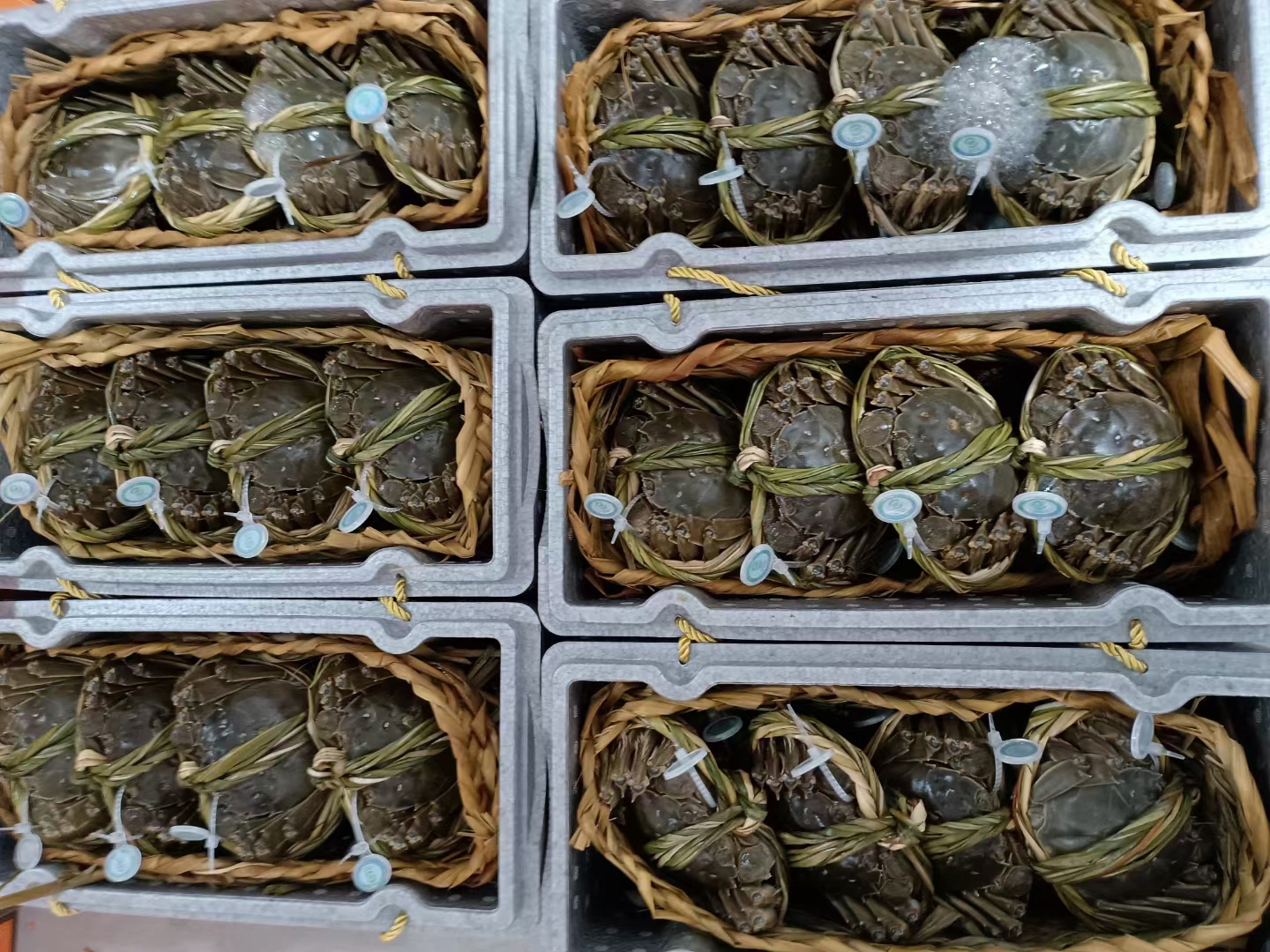 白洋淀水域广阔,水质清澈,是优质大闸蟹的重要产地 白洋淀水域全景图