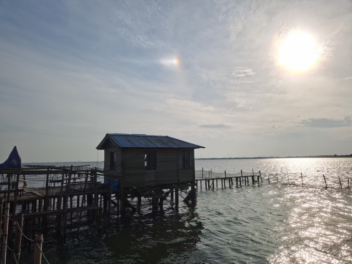 一群游客坐在阳澄湖畔的传统木结构农家里,围坐圆桌享用清蒸大闸蟹,桌上配有小碟姜醋、茶具与酒壶,窗外可见湖面渔船,氛围温馨热闹,展现乡村旅游与美食融合的真实画面 游客在阳澄湖边农家乐品尝大闸蟹的场景