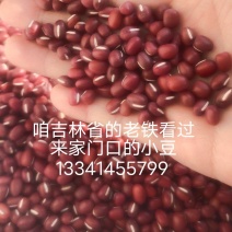 小红豆