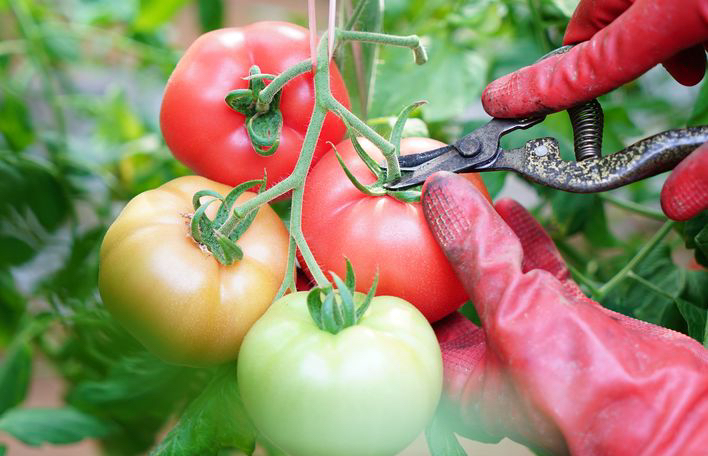 打尖操作示意图