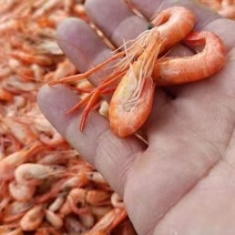 河虾