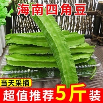 海南三亚四角豆新鲜四季棱豆杨桃皇帝豆龙豆现摘蔬菜整箱批发