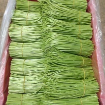 云南精品芦蒿现采现发欢迎采购