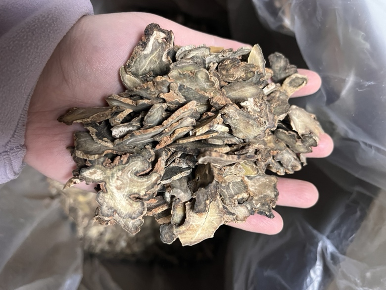 三七粉与丹参片家庭储存与服用实景图：玻璃密封罐装三七粉（标签注明采收年份、皂苷含量）、铝塑板装丹参片（批号清晰）、电子秤（精度0.01g）、计时器、温水杯，背景为厨房台面与《中国药典》2020版封面