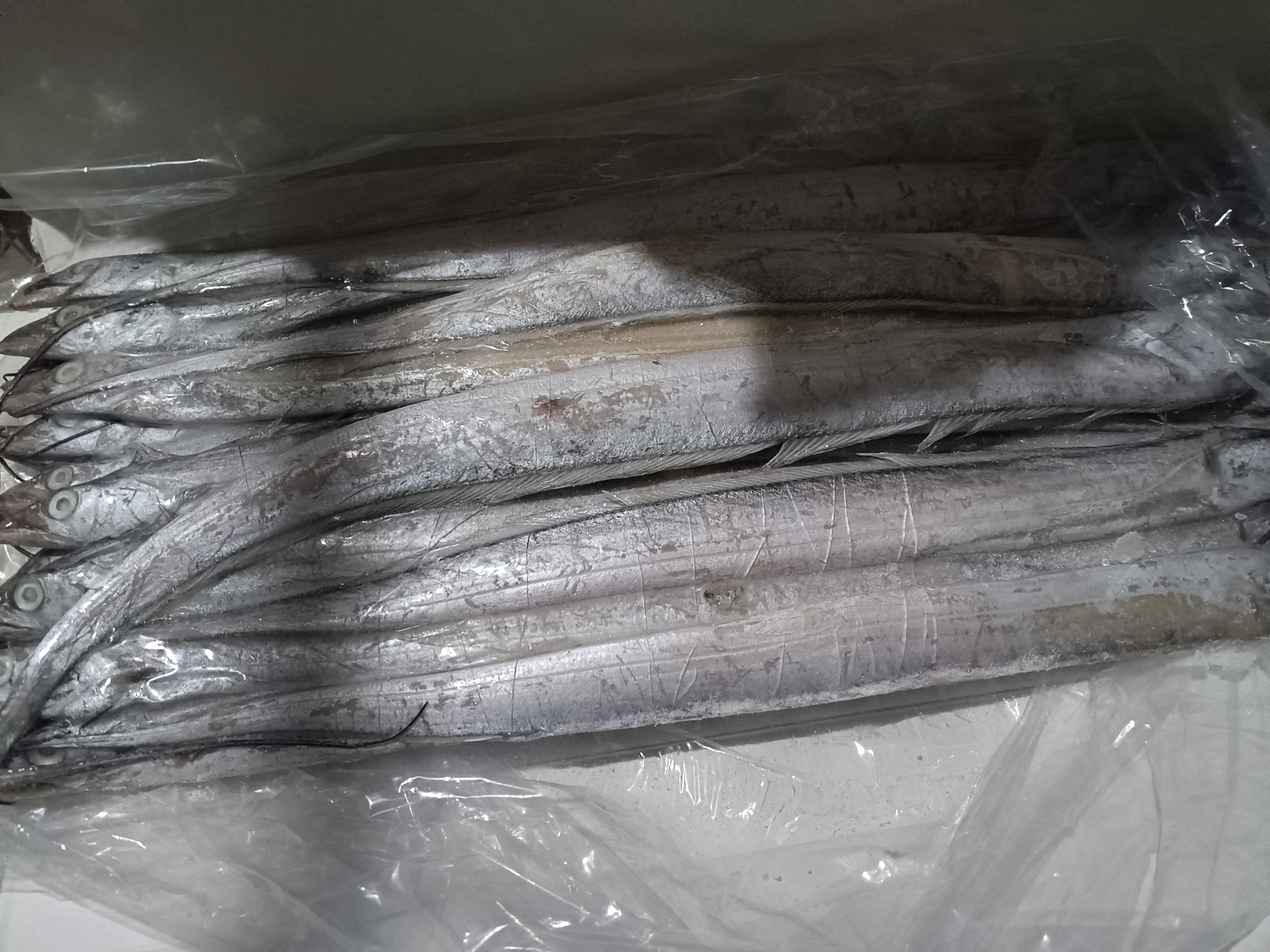 市场中整齐摆放的新鲜带鱼