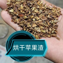 山西运城苹果渣
