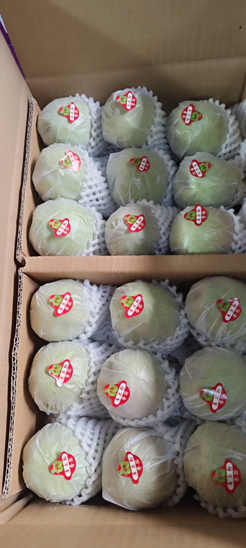 精品新疆阿克苏香梨产地直销,质量保证,欢迎来电咨询