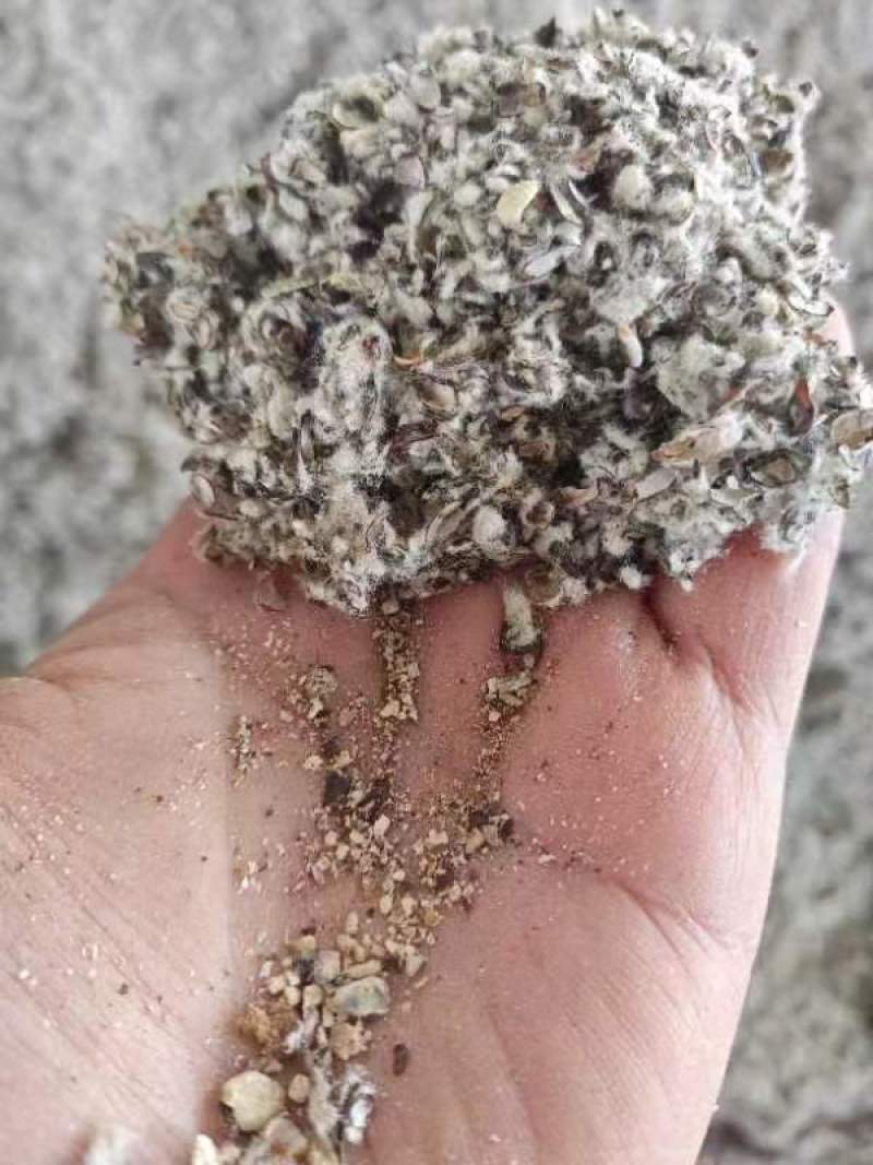 新疆石河子市棉籽壳 660.00元/吨新疆棉壳批发