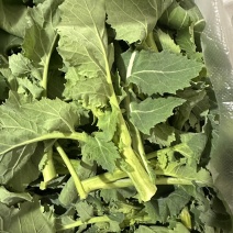 油菜苔