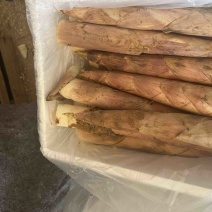 原产地发货，万亩竹林，日产两万斤供整车发货