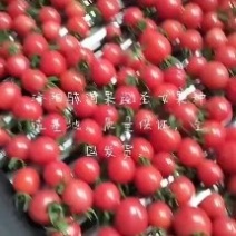 我是济阳骇河果蔬圣女果种植基地，货源充足，找长期合作伙伴