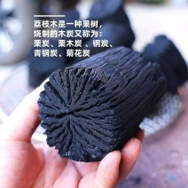 荔枝树火炭