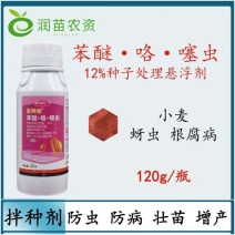 小麦拌种剂苯醚甲环唑咯噻虫嗪拌种剂