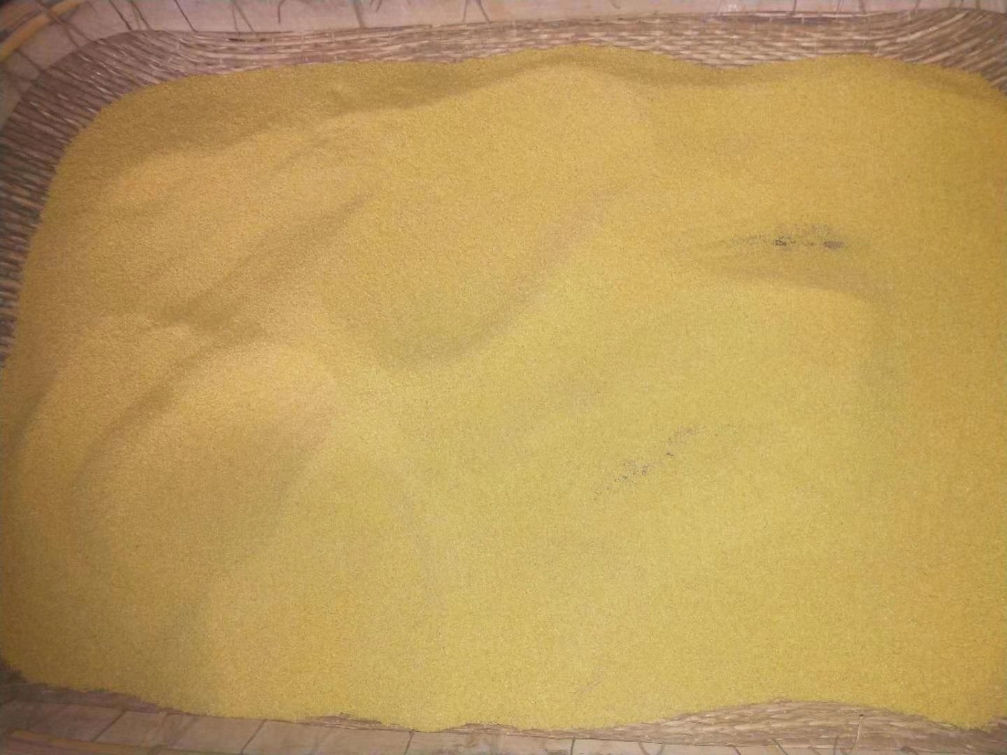 北红尾鸲正在啄食小米,展示其对小米的接受性 北红尾鸲在笼中啄食小米