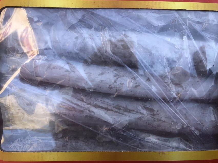 中国水产科学研究院黄海水产研究所带鱼课题组实验室:研究人员佩戴防静电手套,在万级洁净台内进行带鱼受精卵剥离操作;背景可见恒温恒湿培养箱(设定20.0℃)、显微操作系统(配CCD记录卵裂过程)、以及标注‘T0-T3’的活饵梯度替代试剂架,体现科研级带鱼养殖试验的极端精密性与高门槛 带鱼人工繁育实验室操作场景