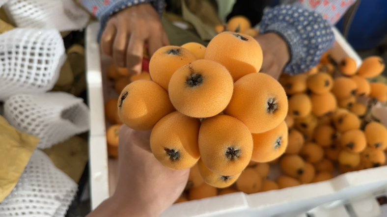 展示电商平台中用户对丹桂产品的五星好评截图 丹桂产品用户好评截图示意图