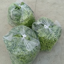 油菜苔