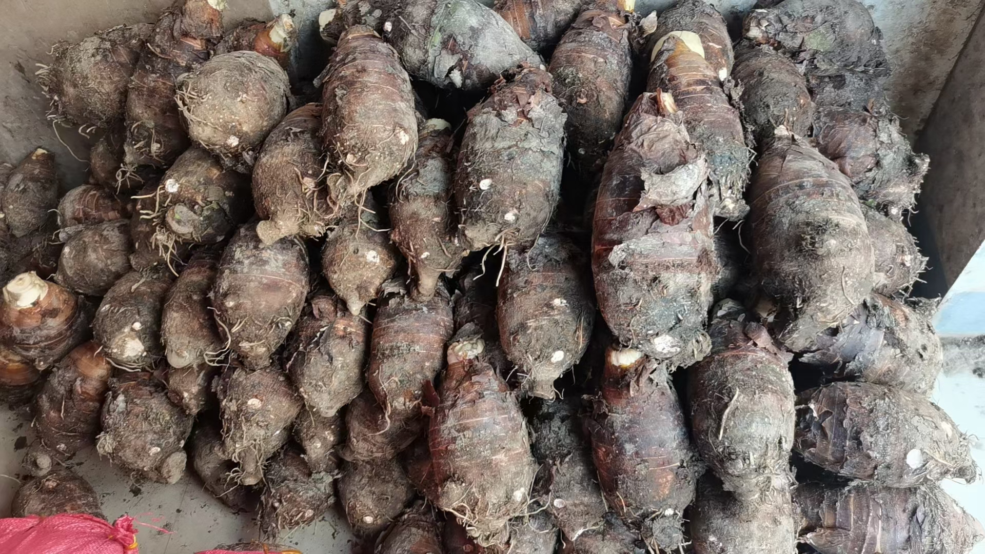 荔浦芋头蒸熟后配餐图