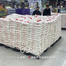 面粉