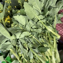 油菜苔