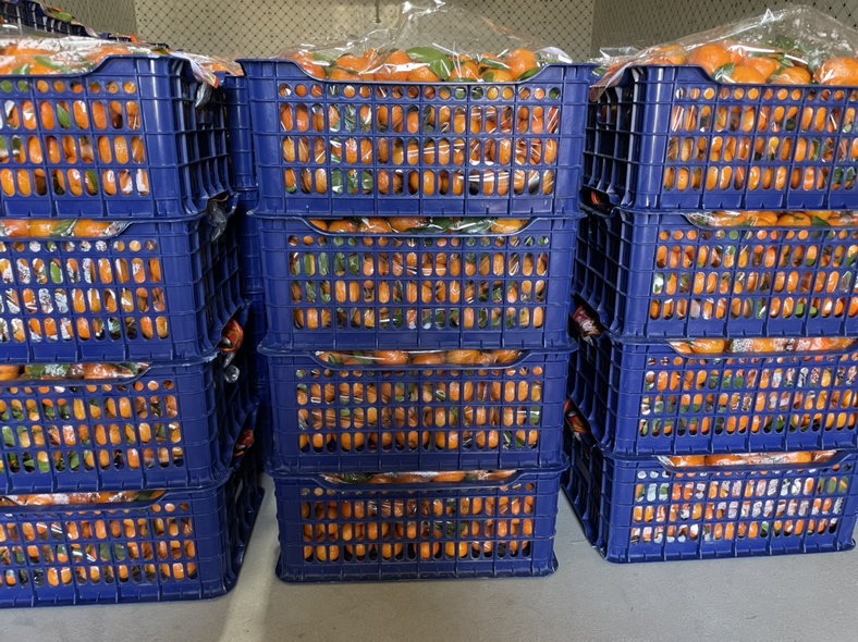 冷藏保存沙糖桔