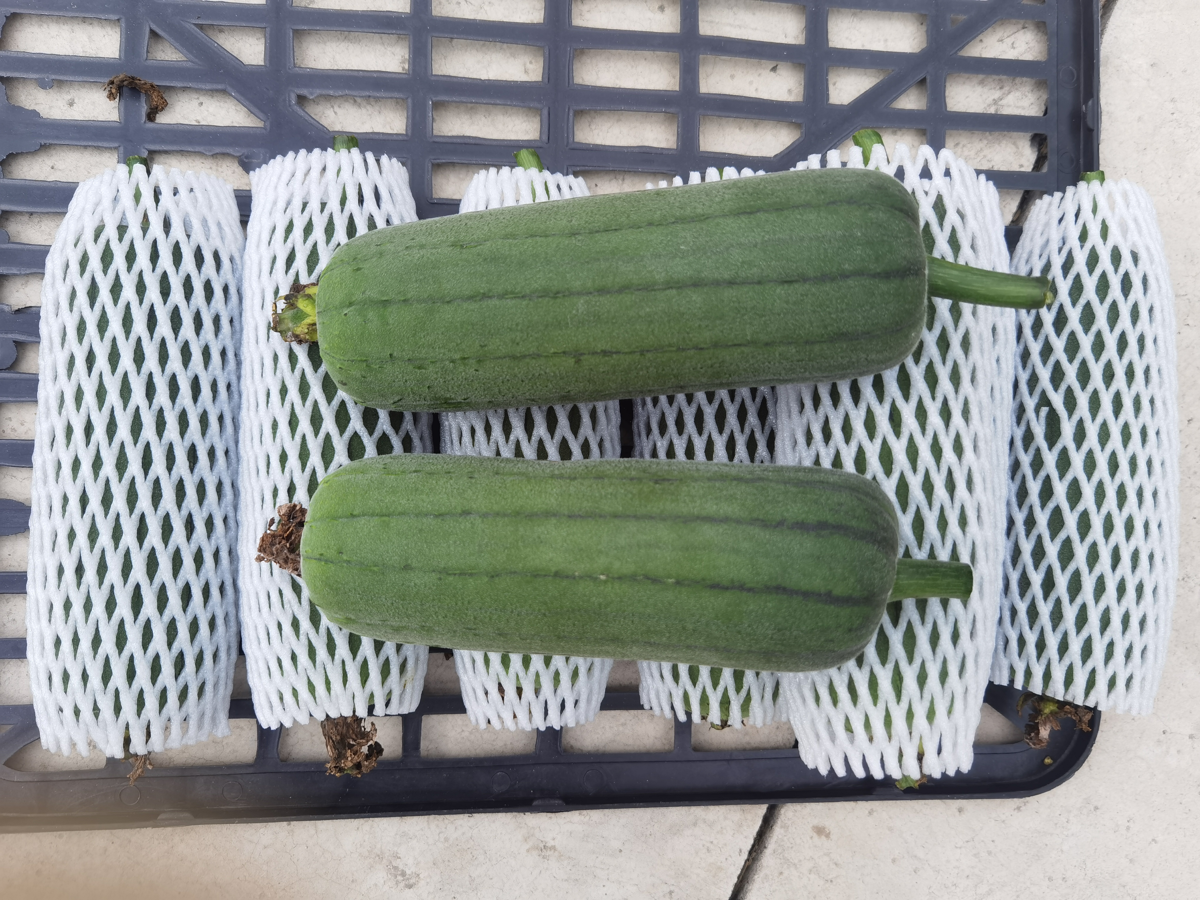 图片说明:干燥的丝瓜篓子,呈现出明显的网状结构,质地轻盈但富有弹性 丝瓜篓子特写