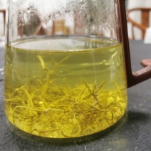 藤茶