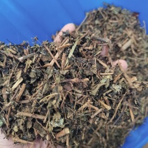 藤茶