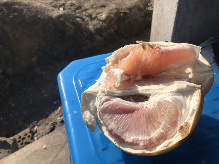 手捧红心蜜柚切块置于玻璃量杯旁，旁边放置血糖仪与测试纸，背景为实验室白板，标注'GI=25'和'膳食纤维1.8g/100g'