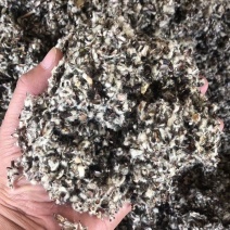 浙江杭州棉籽壳