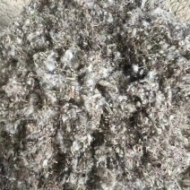 辽宁沈阳棉渣