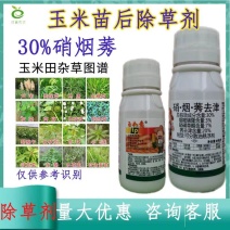 玉米苗后除草剂农药硝烟莠去津除草剂农药小包装