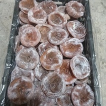 二级大肉饼