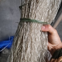 红薯粉农村自家种的