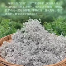永顺莓茶