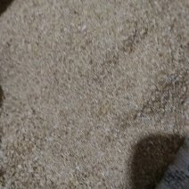 麸子