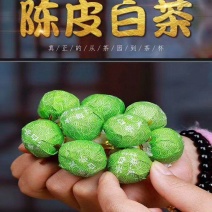 1斤陈皮白茶叶寿眉高山陈年老白茶龙珠贡眉陈皮白茶