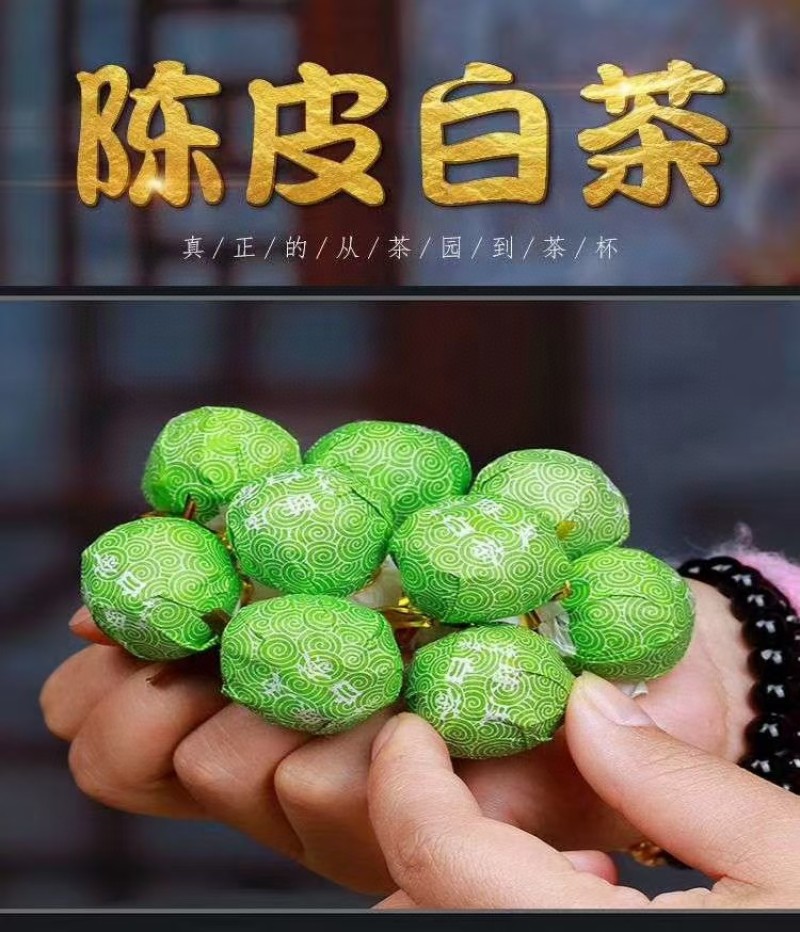 陈皮白茶茶叶寿眉高山陈年老白茶龙珠贡眉陈皮白茶