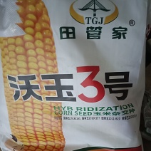 沃玉3号玉米种子：国审红轴大棒正品玉米种子沃玉3号