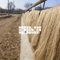自家做的蜜薯粉丝