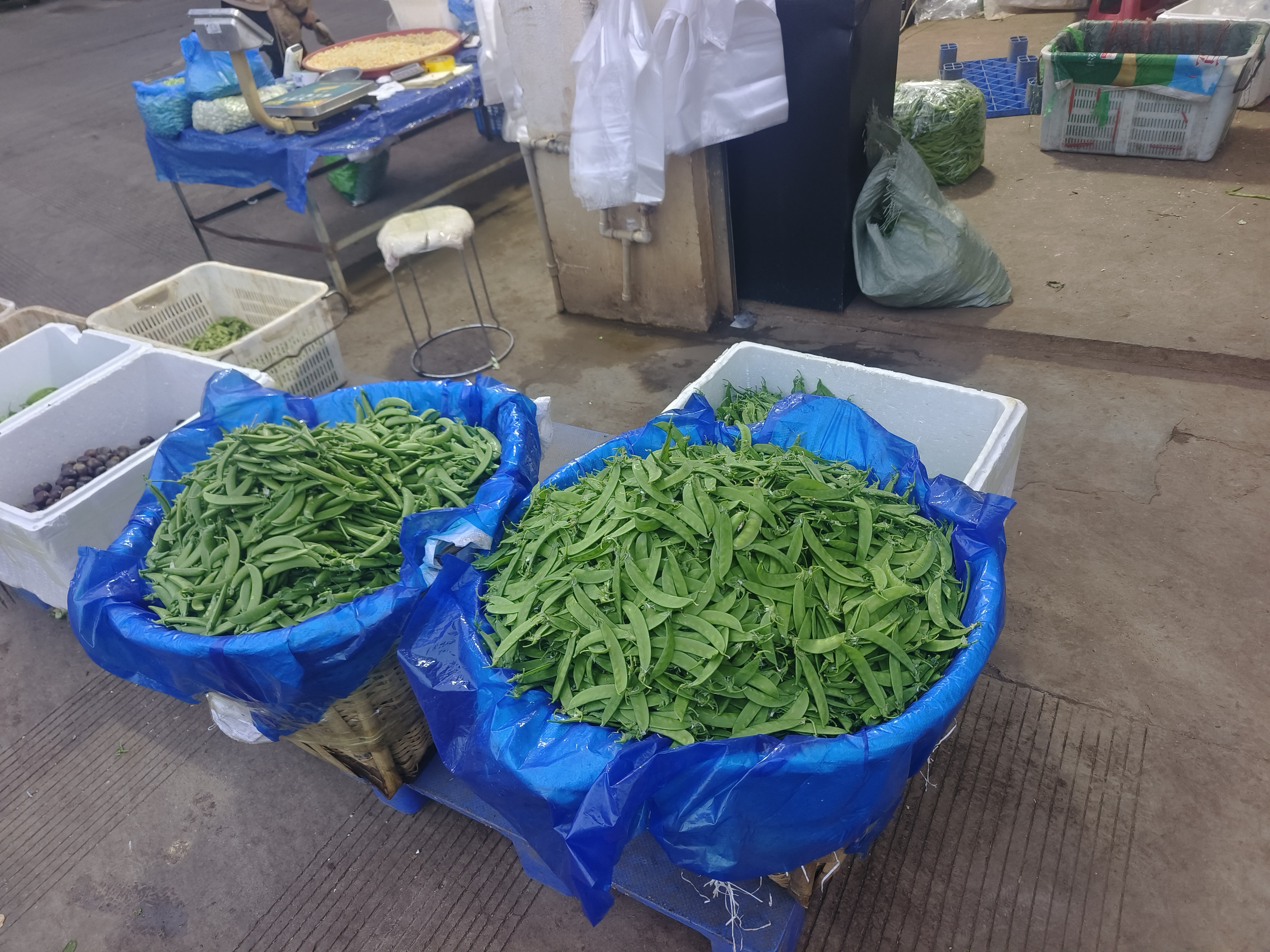 荷兰豆与豌豆的烹饪应用对比图