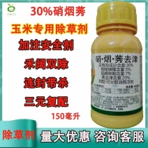 硝烟莠玉米苗后除草剂农药烟嘧磺隆莠去津硝磺草酮