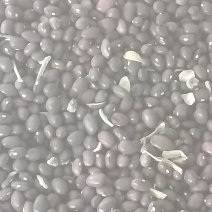 红豆山售—甘肃省张掖市，20吨，司看货，来车装。