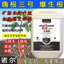 嗨根生根高纯度爆根原液快速强力壮苗发新根生根剂