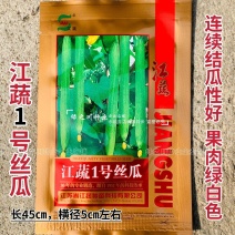 江苏农科院江蔬一号丝瓜种子特长丝瓜种子耐低温坐果多