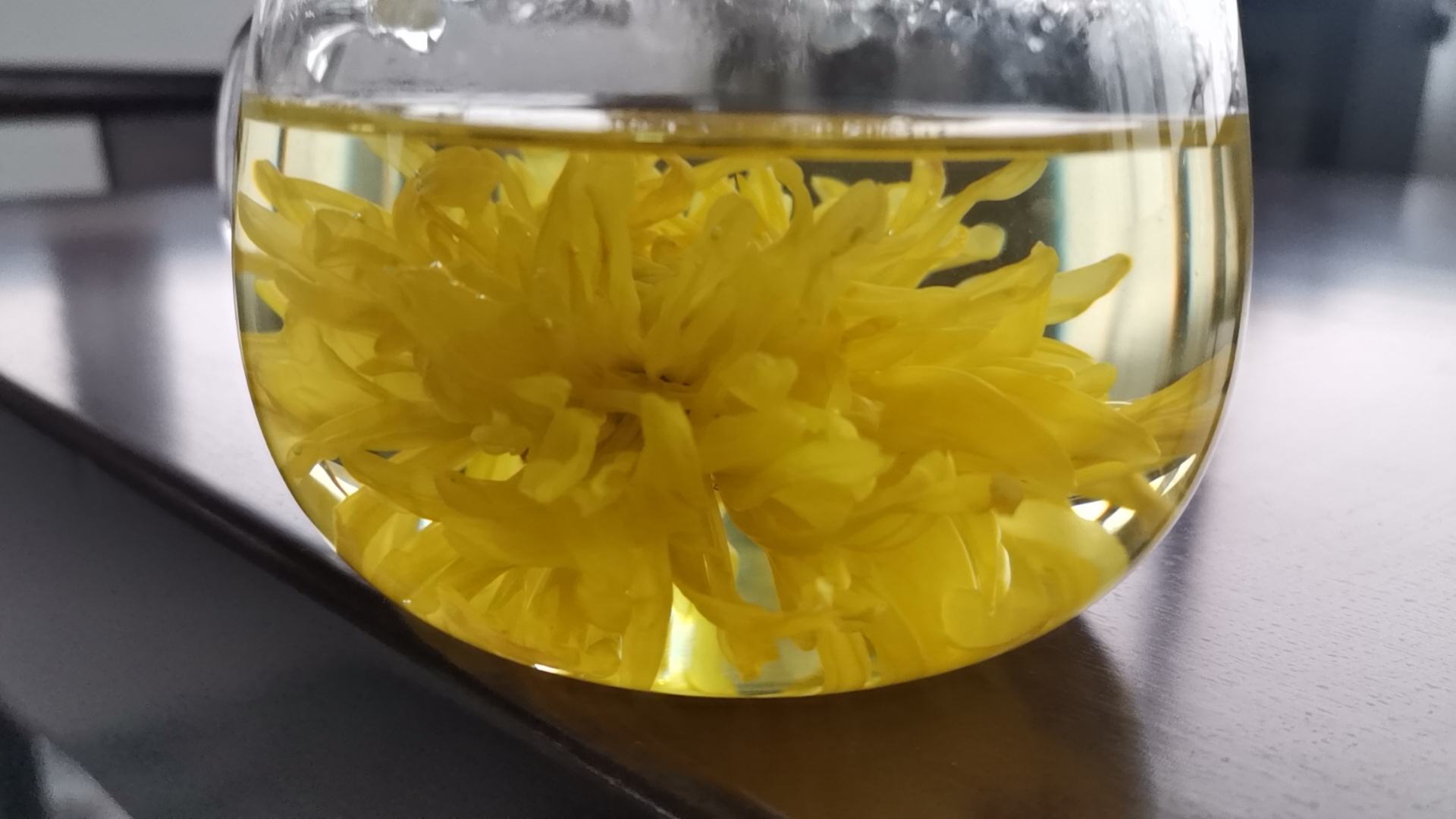 金丝皇菊花茶泡制过程