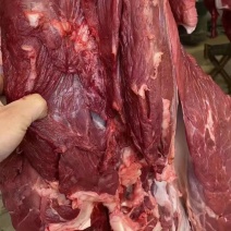 驴肉